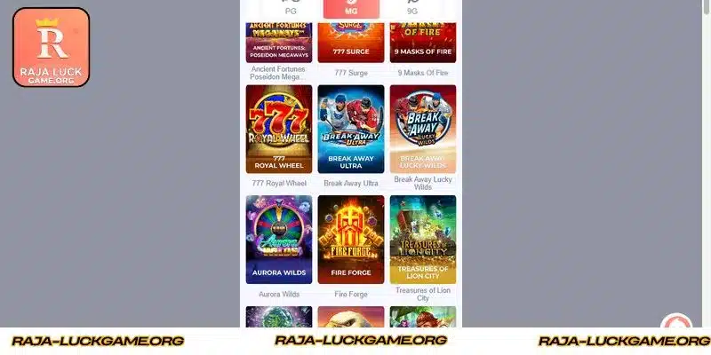 Future objectives and planned improvements for this platform